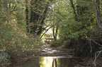 DSC0259